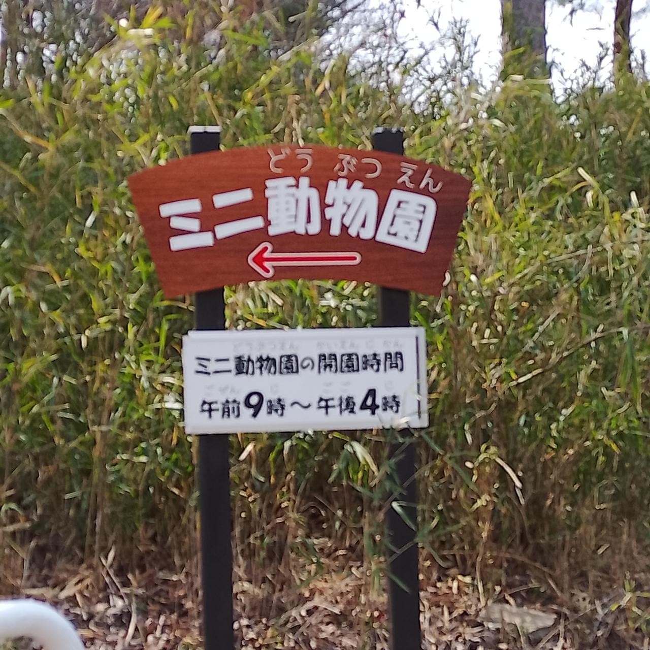 のんびりんこさんが投稿した庚申山ミニ動物園に関する口コミの画像