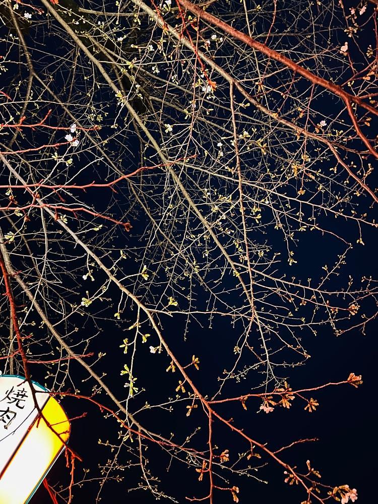かめ_メグミさんが投稿したニューデイズ エキュート上野 公園改札外店（NewDays）に関する口コミの画像
