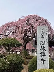 周林寺