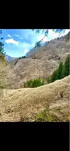 清風園（セイフウエン）