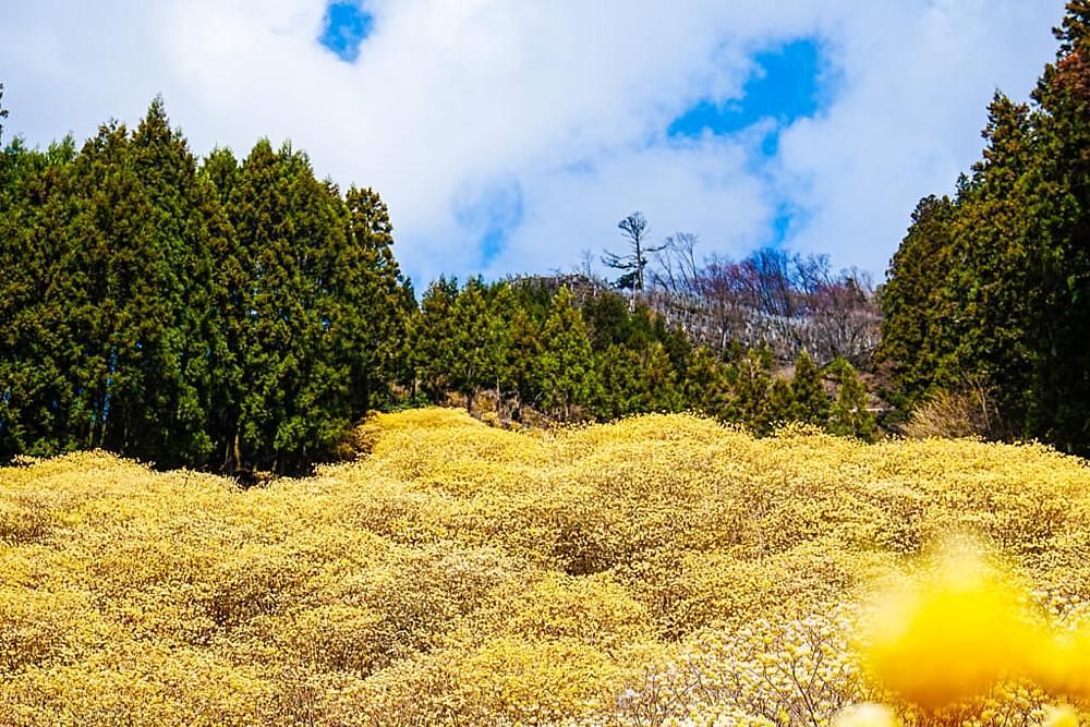 からっ風②さんが投稿した清風園（セイフウエン）に関する口コミの画像
