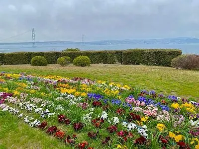 淡路ハイウェイオアシス