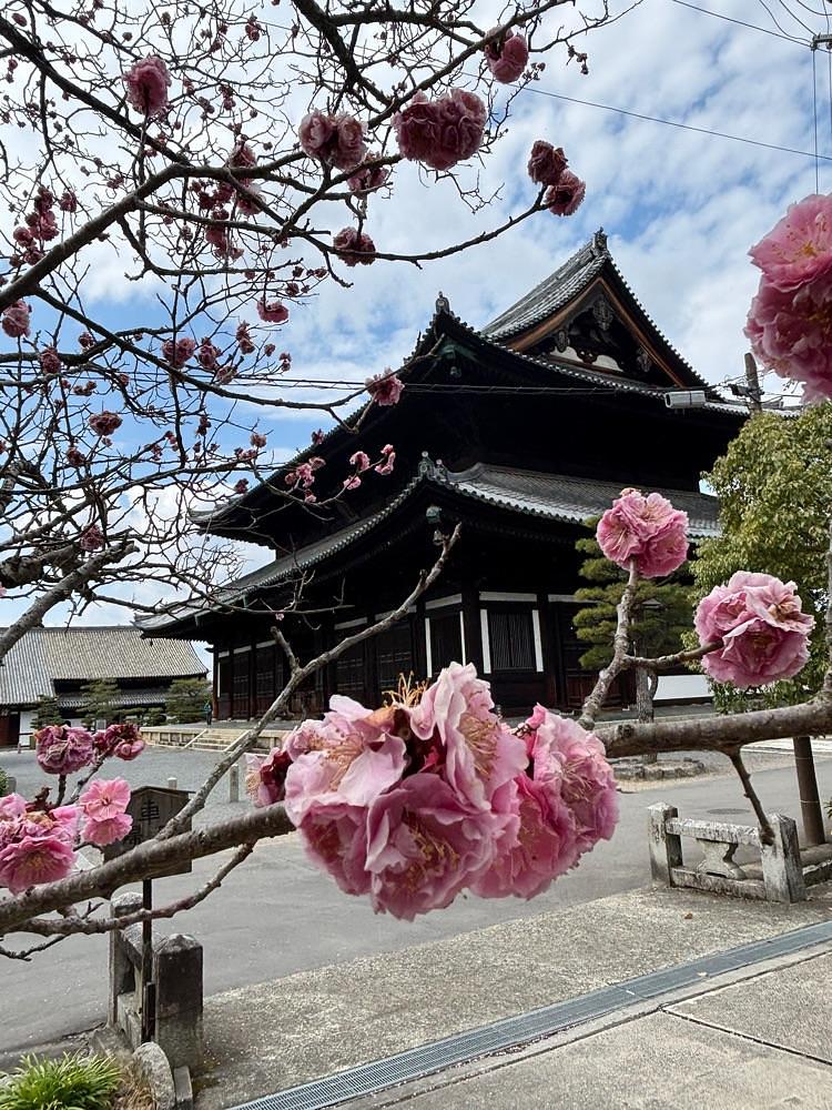 luckyさんが投稿した東福寺（京都府京都市）に関する口コミの画像