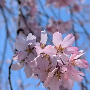 古戦場公園