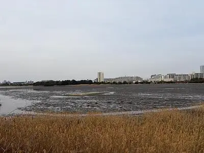 谷津干潟自然観察センター