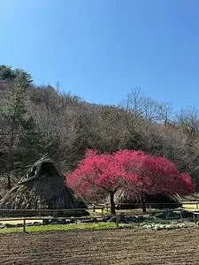 森将軍塚古墳(国史跡)