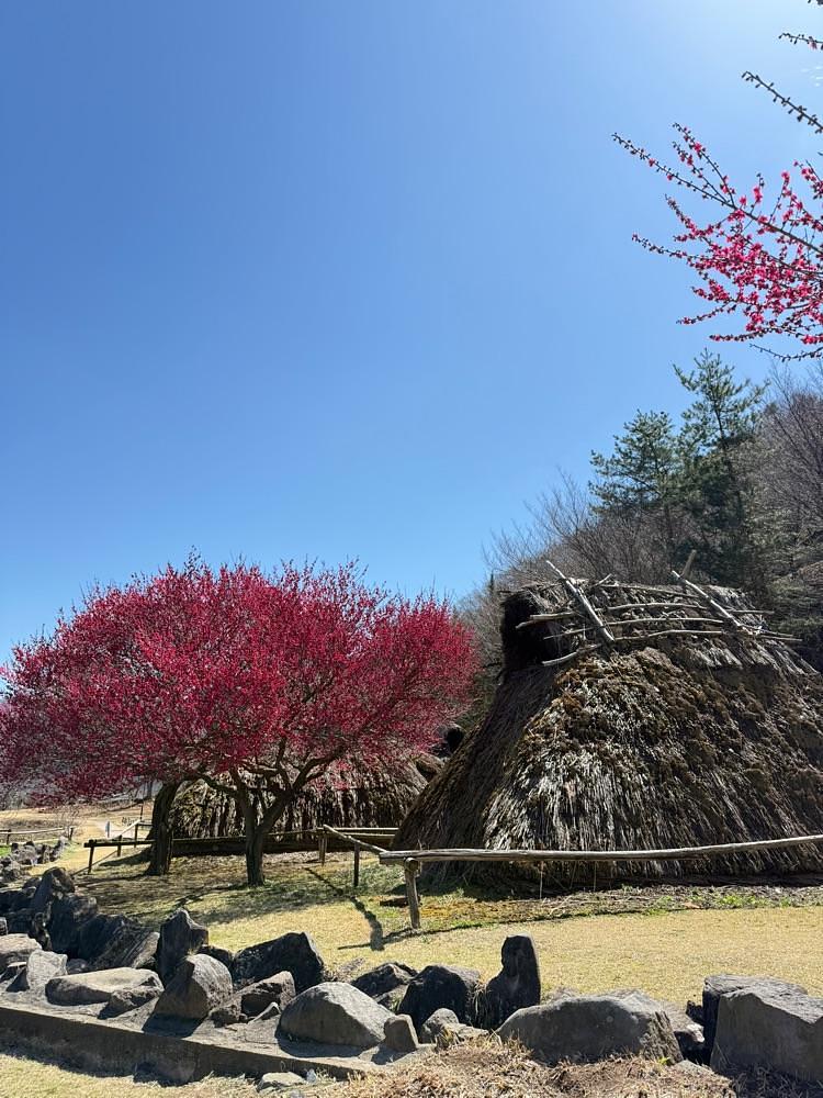 junさんが投稿した森将軍塚古墳(国史跡)に関する口コミの画像