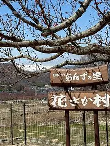花さか村
