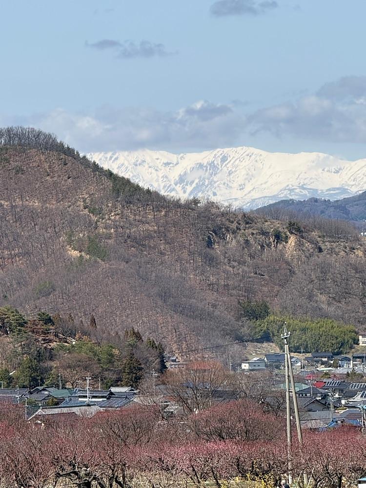 junさんが投稿した花さか村に関する口コミの画像