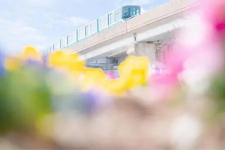マジックパン 六甲アイランド店