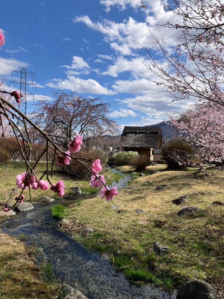 Nさんが投稿した水車の里公園に関する口コミの画像