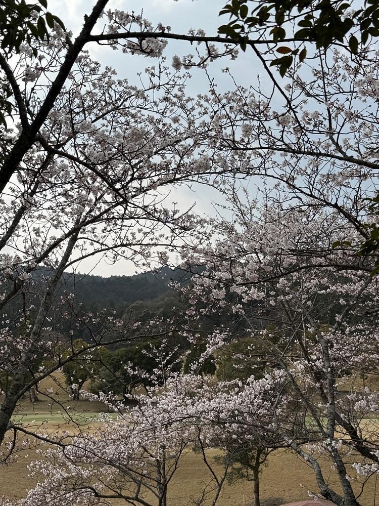 soccer kozou さんが投稿した鈴鹿の森ゴルフクラブに関する口コミの画像