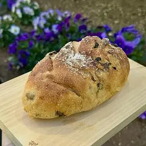 ロミパン