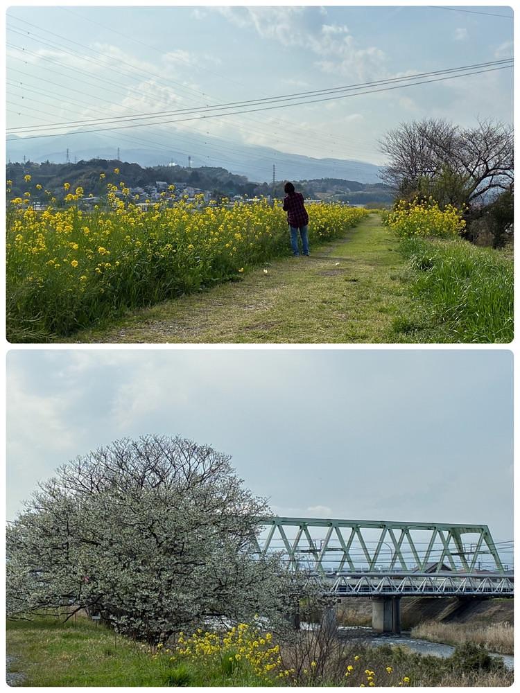 deriさんが投稿した螢田駅に関する口コミの画像