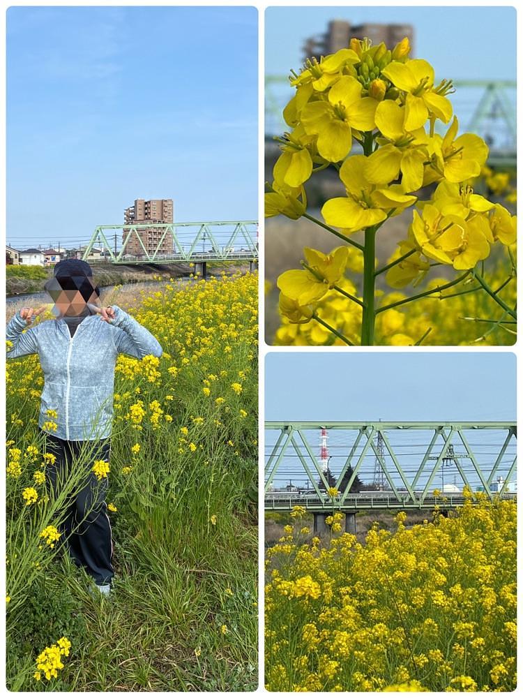 deriさんが投稿した螢田駅に関する口コミの画像