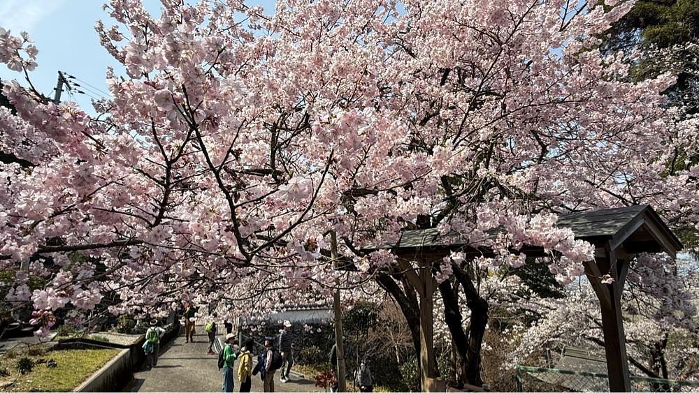 みぃさんが投稿した森本院に関する口コミの画像