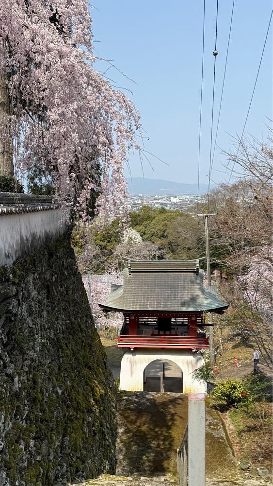 みぃさんが投稿した森本院に関する口コミの画像