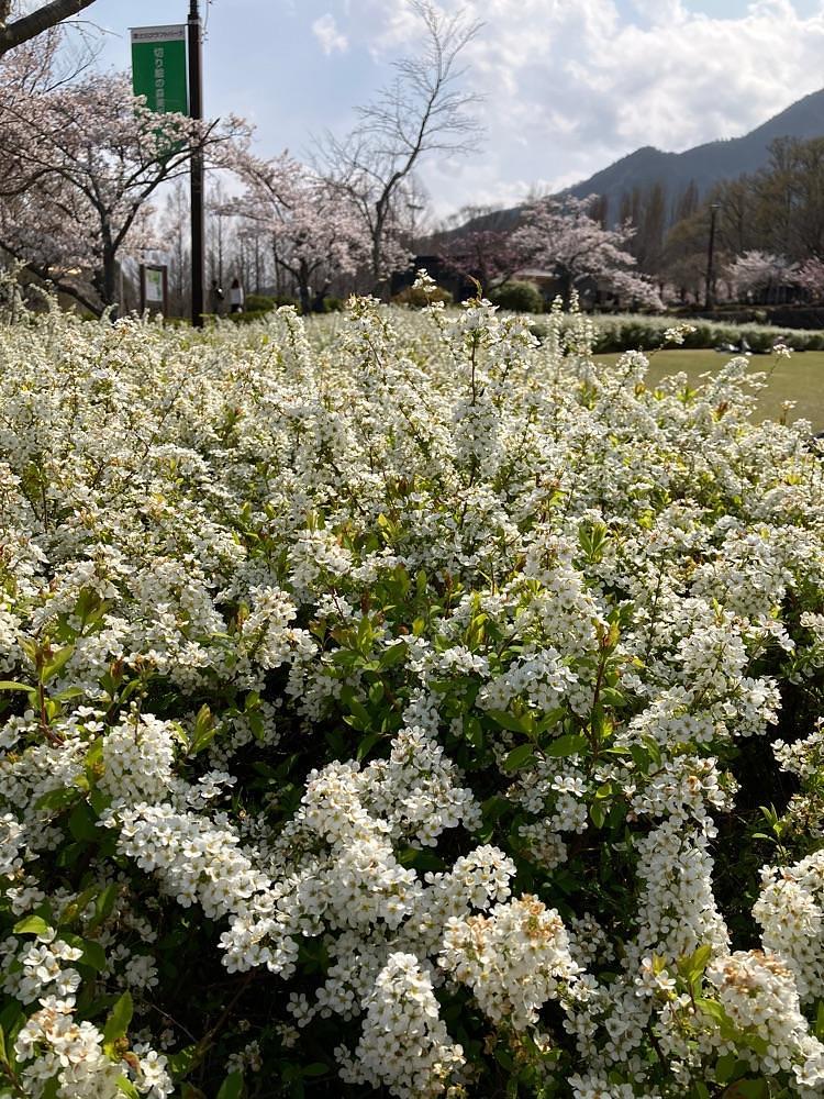 Nさんが投稿した山梨県富士川クラフトパークに関する口コミの画像