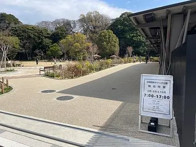 田園調布せせらぎ公園