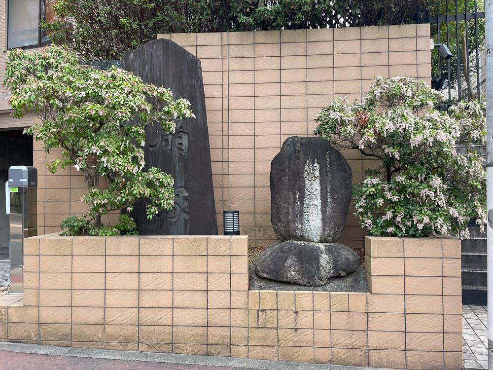 fumiさんが投稿した田園調布せせらぎ公園に関する口コミの画像