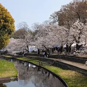 若泉第一公園・若泉第二公園