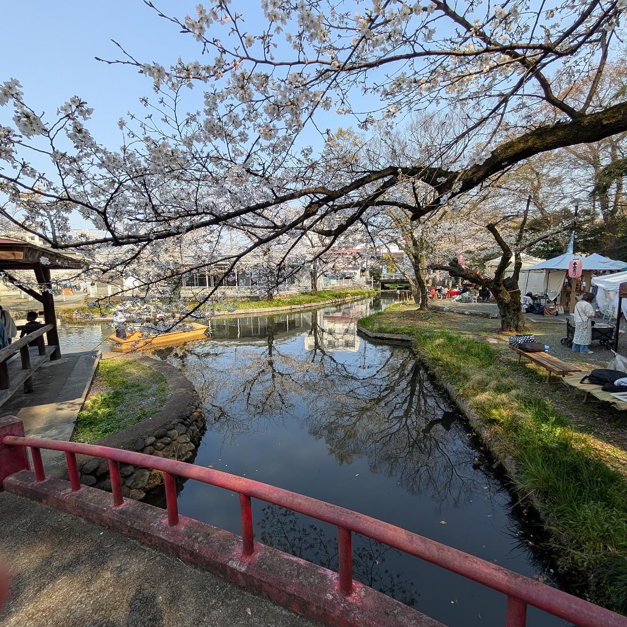 Cates (*^o^*)❤️さんが投稿した若泉第一公園・若泉第二公園に関する口コミの画像