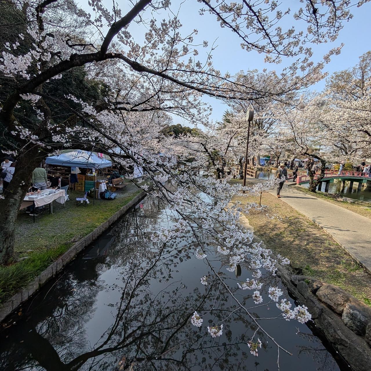 Cates (*^o^*)❤️さんが投稿した若泉第一公園・若泉第二公園に関する口コミの画像