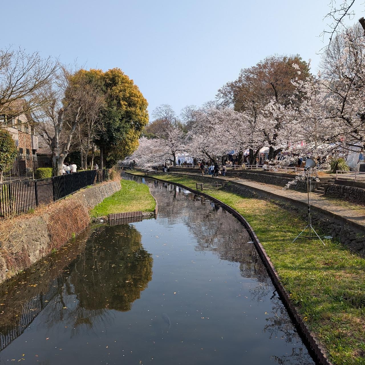 Cates (*^o^*)❤️さんが投稿した若泉第一公園・若泉第二公園に関する口コミの画像
