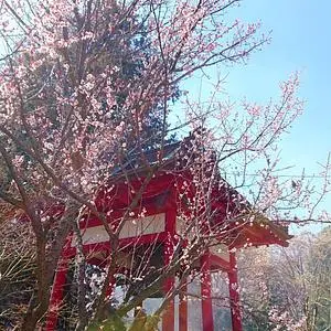 東昌寺の梵鐘