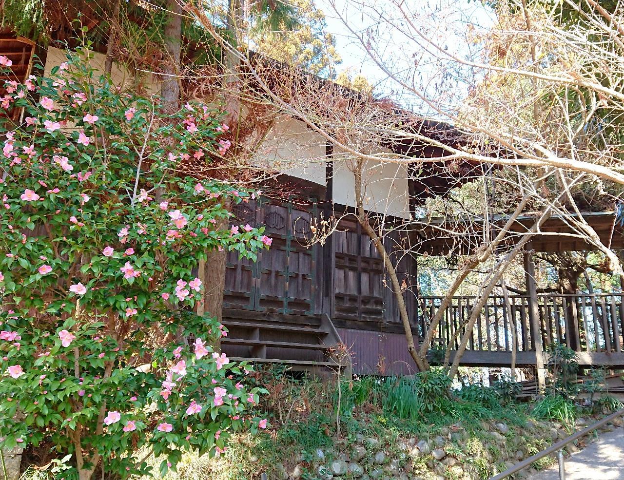 ℍ𝕚𝕤𝕒𝕞𝕒𝕣𝕦-𝕔𝕙𝕒𝕟さんが投稿した東昌寺の梵鐘に関する口コミの画像