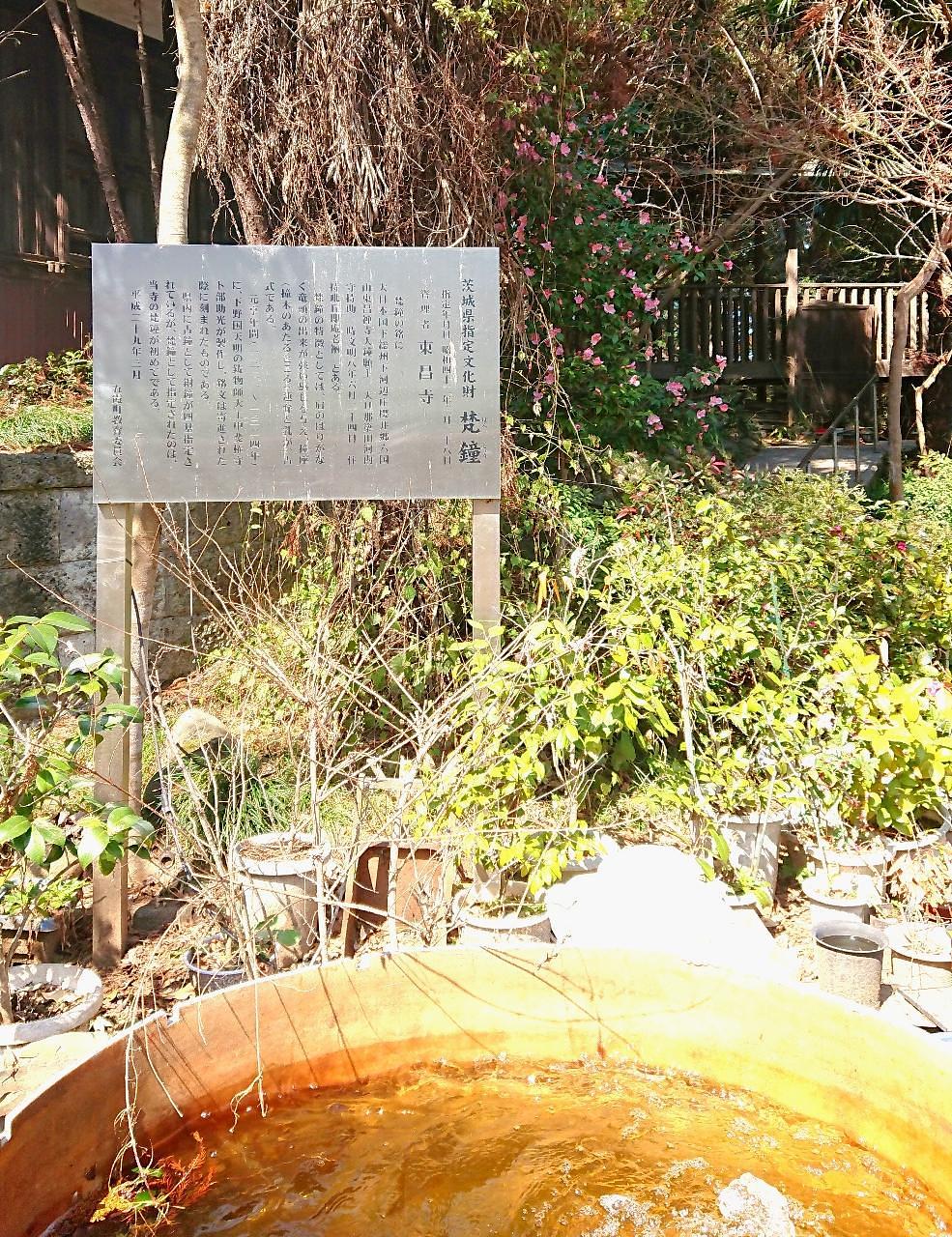 ℍ𝕚𝕤𝕒𝕞𝕒𝕣𝕦-𝕔𝕙𝕒𝕟さんが投稿した東昌寺の梵鐘に関する口コミの画像