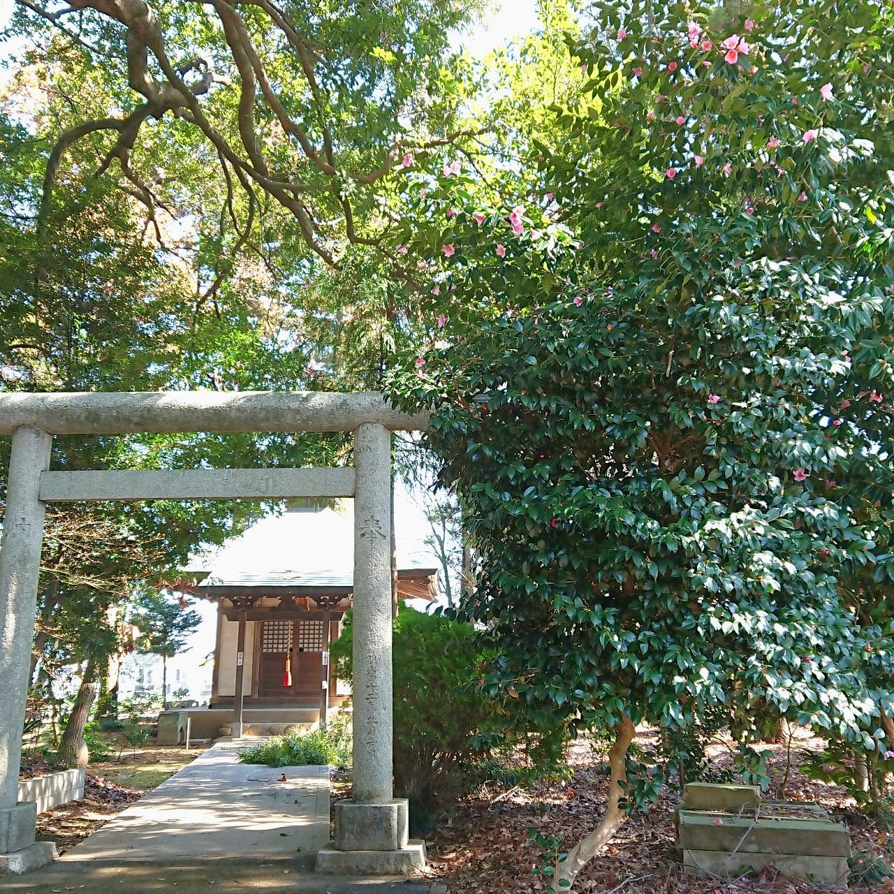 ℍ𝕚𝕤𝕒𝕞𝕒𝕣𝕦-𝕔𝕙𝕒𝕟さんが投稿した東昌寺の梵鐘に関する口コミの画像