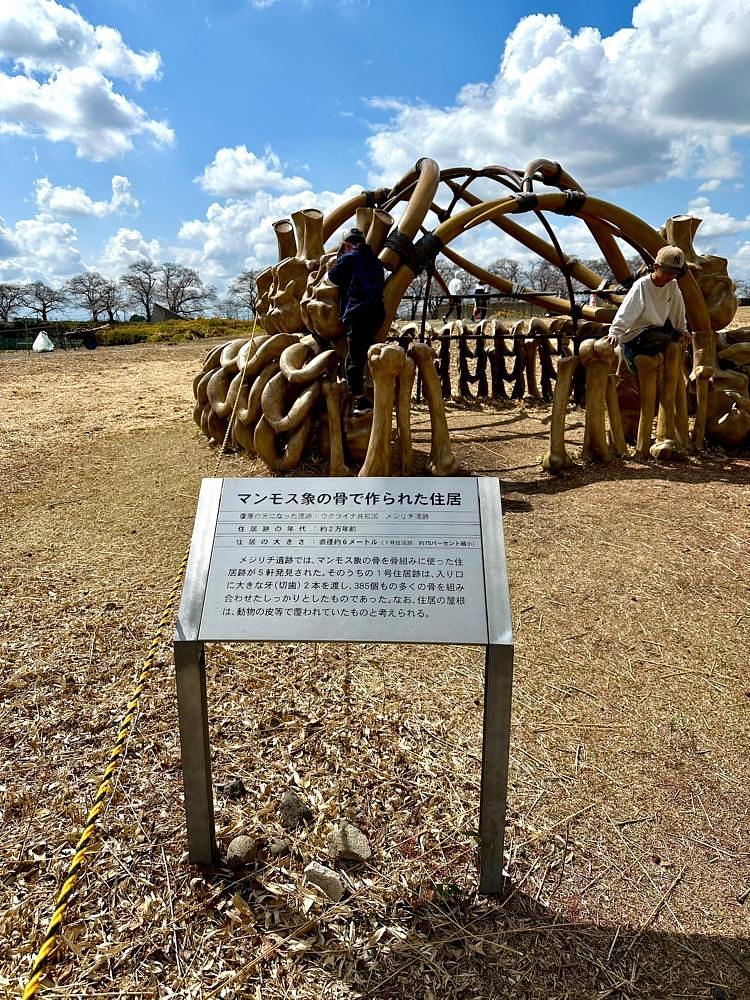 からっ風②さんが投稿した鹿ノ川沼に関する口コミの画像