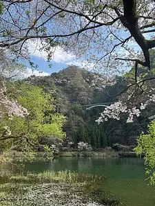 グリーンパル日向神峡キャンプ場