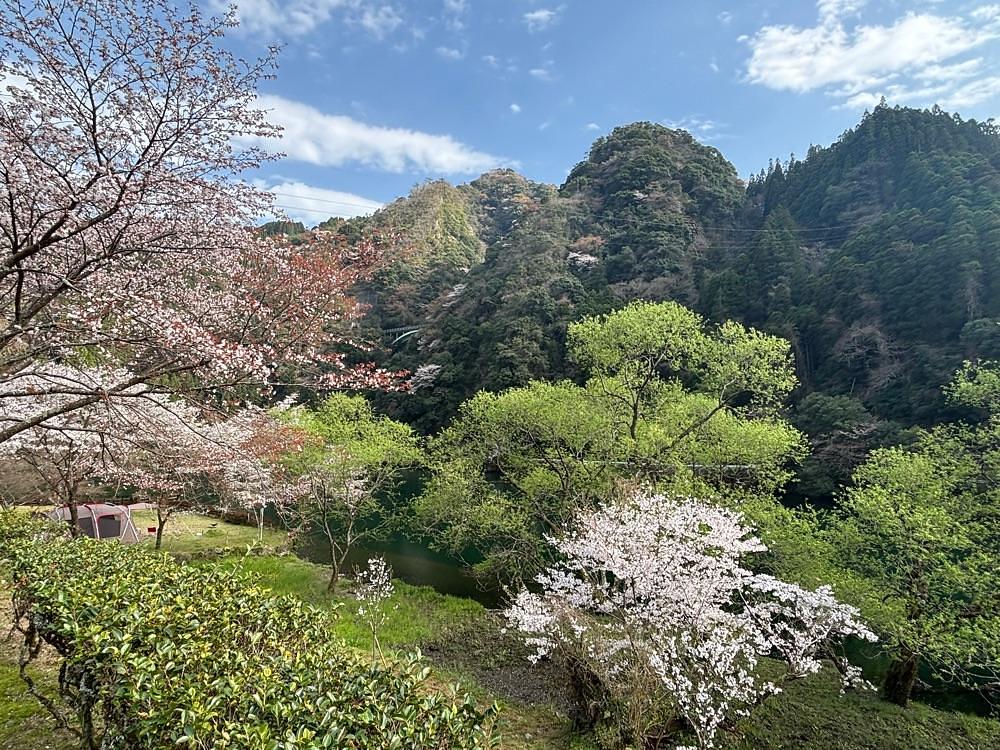 luckyさんが投稿したグリーンパル日向神峡キャンプ場に関する口コミの画像