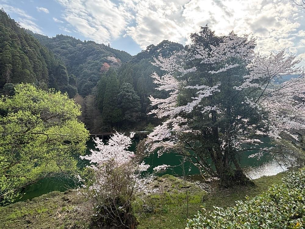 luckyさんが投稿したグリーンパル日向神峡キャンプ場に関する口コミの画像