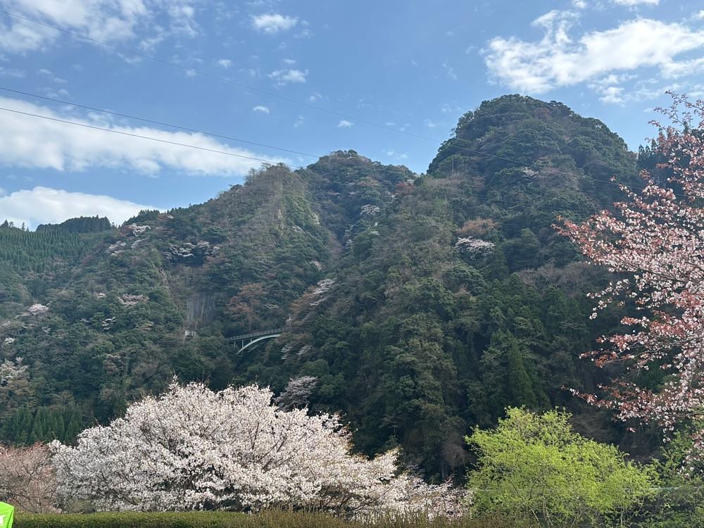 luckyさんが投稿したグリーンパル日向神峡キャンプ場に関する口コミの画像