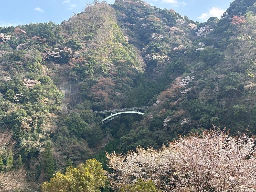 luckyさんが投稿したグリーンパル日向神峡キャンプ場に関する口コミの画像