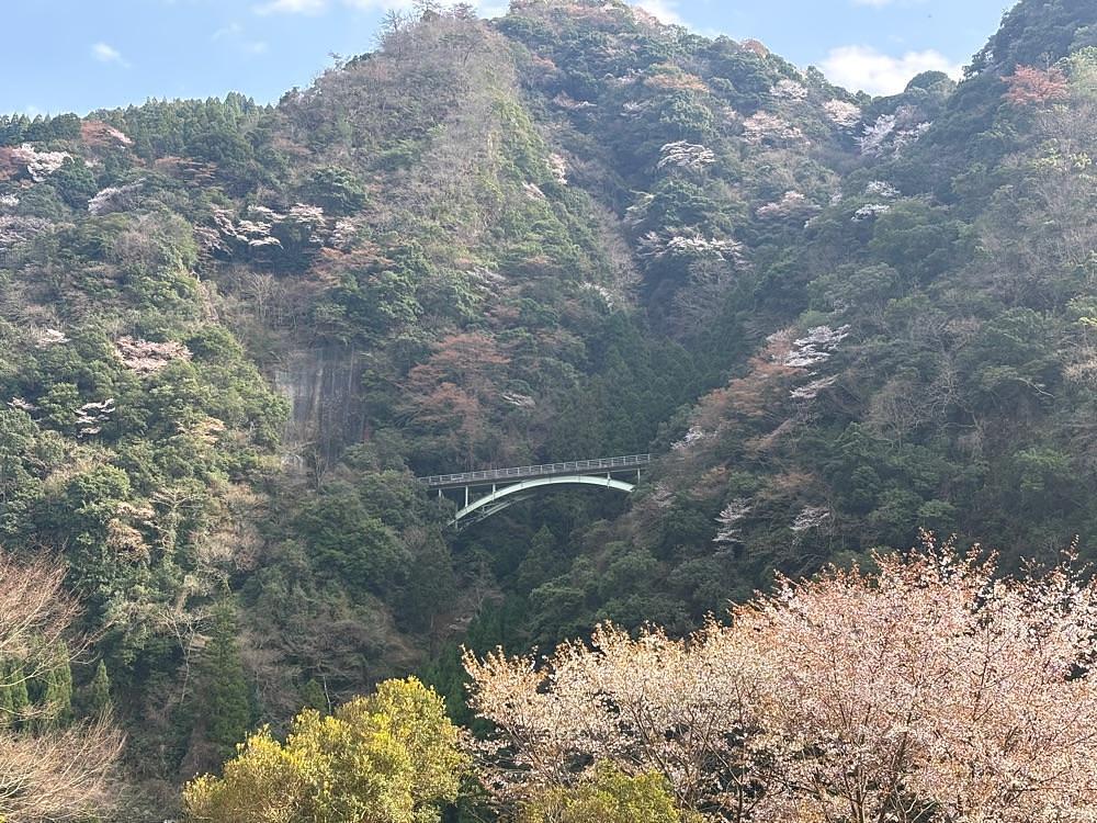 luckyさんが投稿したグリーンパル日向神峡キャンプ場に関する口コミの画像