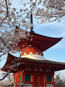 多宝塔