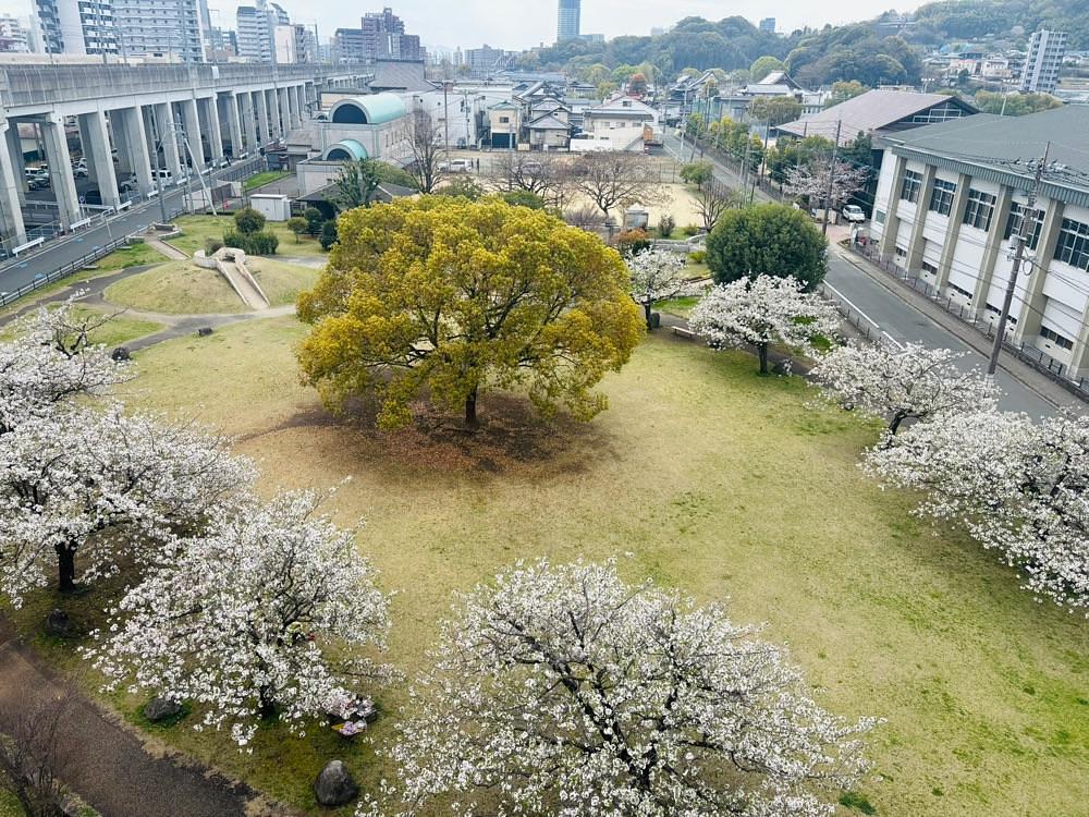 luckyさんが投稿した段山町駅に関する口コミの画像