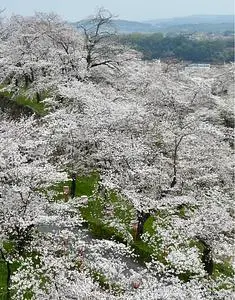 津山城跡（鶴山公園）