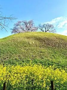 埼玉古墳群・さきたま風土記の丘