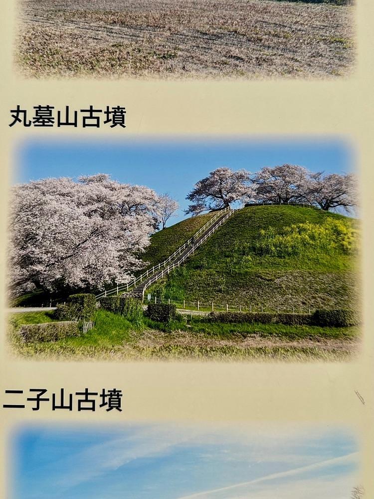 からっ風②さんが投稿した埼玉古墳群・さきたま風土記の丘に関する口コミの画像