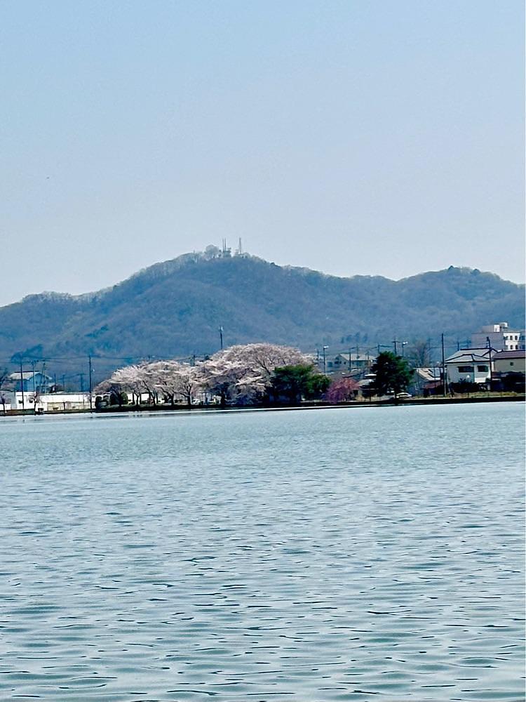 からっ風②さんが投稿したヤマト屋に関する口コミの画像