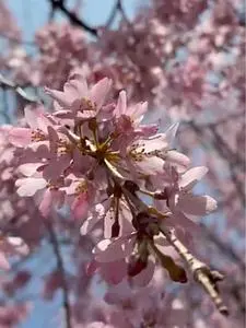 荒井城址公園