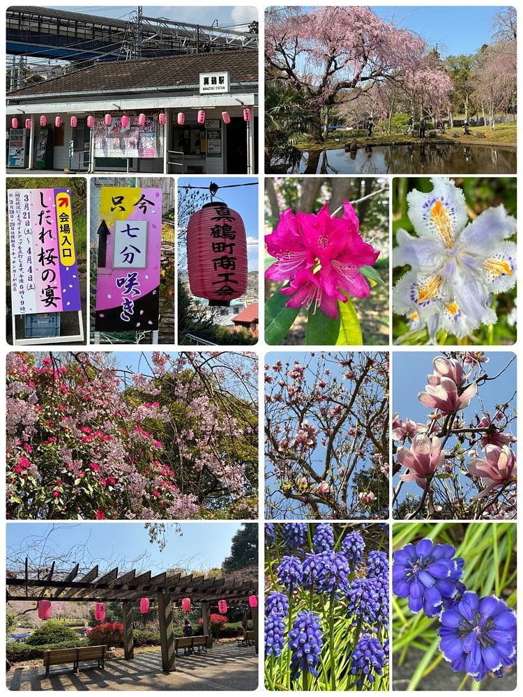deriさんが投稿した荒井城址公園に関する口コミの画像