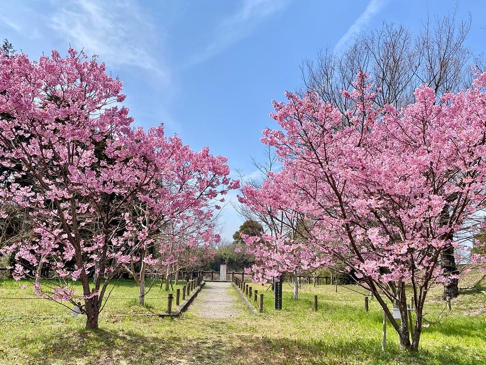 calm_gift_1030さんが投稿した池田池公園に関する口コミの画像