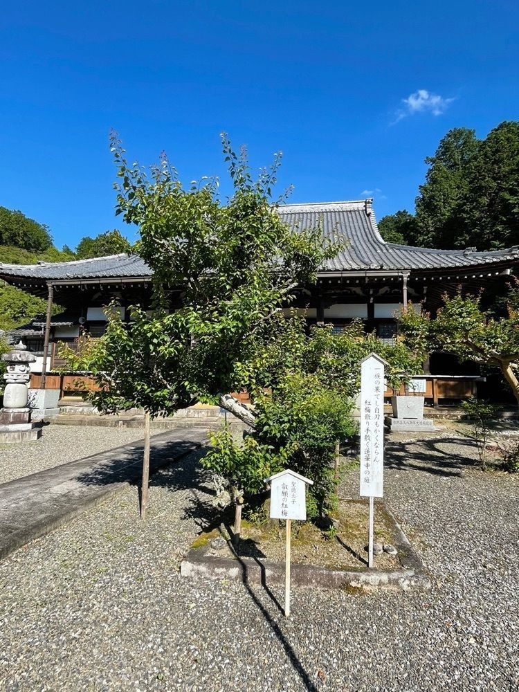 ダルマ大使さんが投稿した蓮華寺に関する口コミの画像