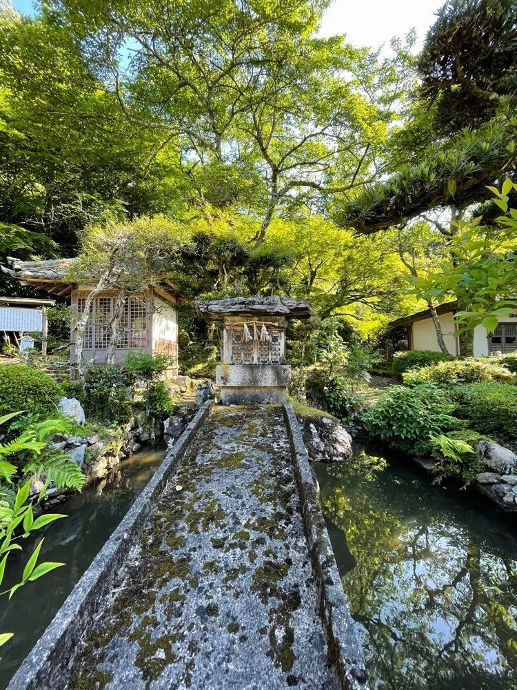 ダルマ大使さんが投稿した蓮華寺に関する口コミの画像
